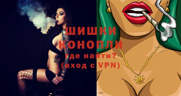 прущие грибы Навашино