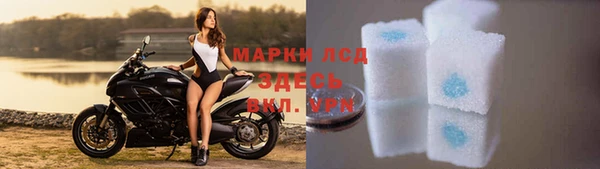 прущие грибы Навашино