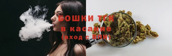 дмт Нея