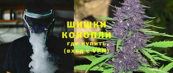 дмт Нея