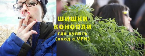 гашик Нефтекумск