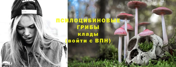 прущие грибы Навашино