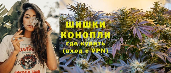 прущие грибы Навашино