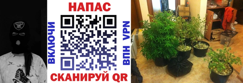 Шишки марихуана индика  Усолье 